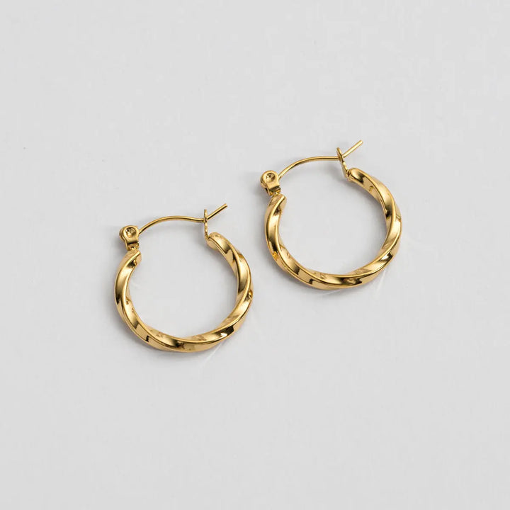 Delicate Twisted Hoop Earrings | Stainless Steel